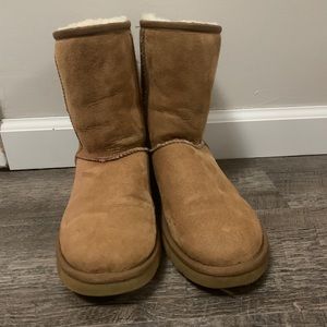 Chestnut Classic Short Ugg Boots